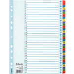 PRZEKŁADKI MYLAR ESSELTE A4 1-31