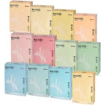 Papier Maestro Color A4/80g Pastel ircha (500)